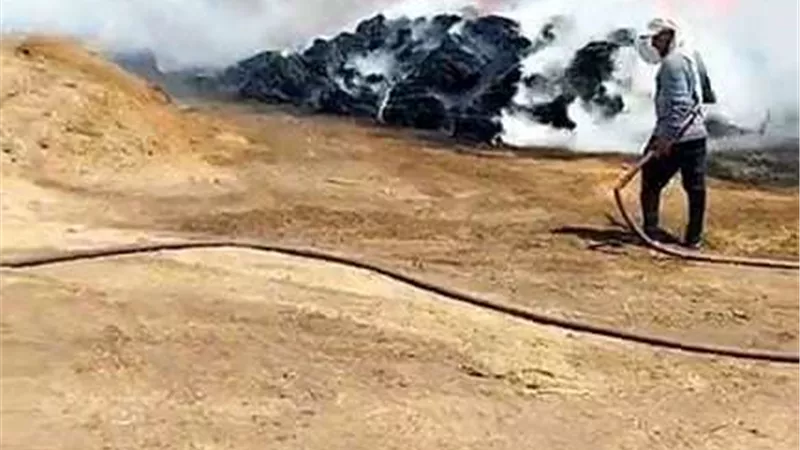 على مساحة 100 فدان.. حريق هائل يلتهم محصول الكتان بالغربية