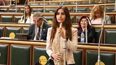 لتعزيز شفافية العملية السياسية.. إدارج الحبس الاحتياطي بالحوار الوطني