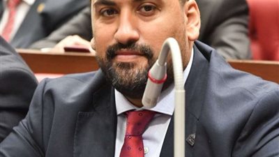 النائب محمد الرشيدي: الحكومة لديها رؤية شاملة وعازمة على تلبية احتياجات المواطنين