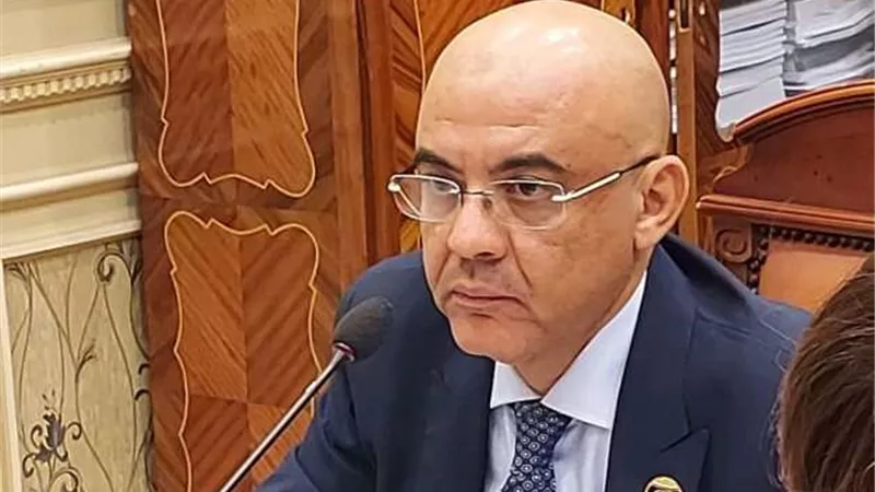 هندي: الحوار الوطني يعزز الاصطفاف السياسي