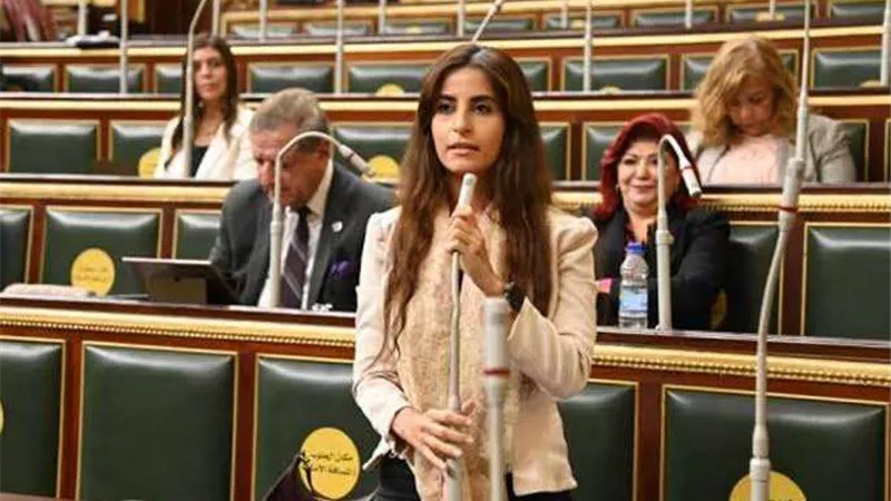 لتعزيز شفافية العملية السياسية.. إدارج الحبس الاحتياطي بالحوار الوطني