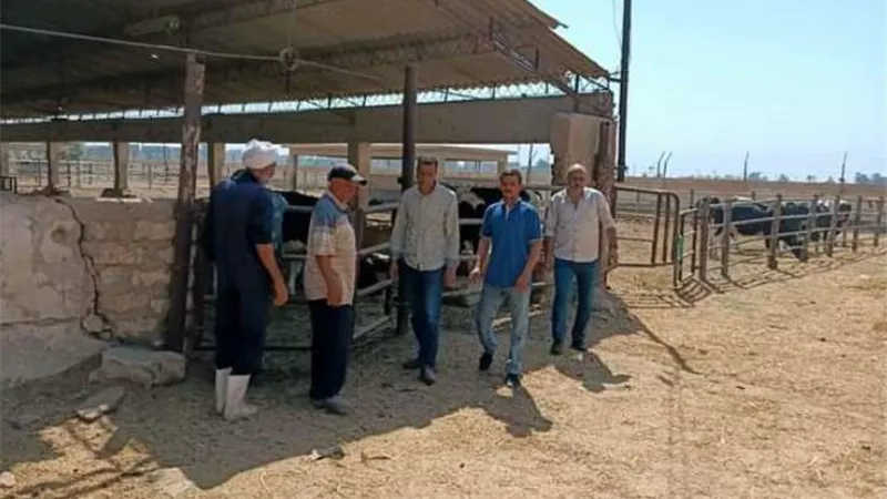 وكيل زراعة أسيوط يوجه بزراعة مساحات إضافية من الأعلاف الخضراء
