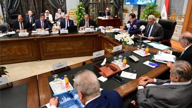 محمود فوزي: أمن مصر المائي على رأس أولويات الحكومة