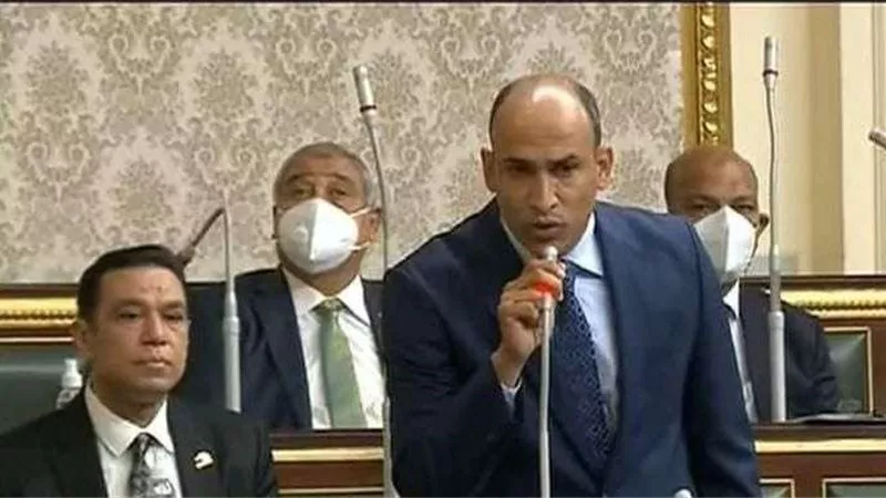 حسام أبو زيد: القيادة السياسية تتحرك لوقف إطلاق النار بغزة