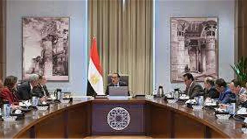 بحضور رئيس هيئة الدواء.. اجتماع الحكومة لحل أزمة نقص الأدوية
