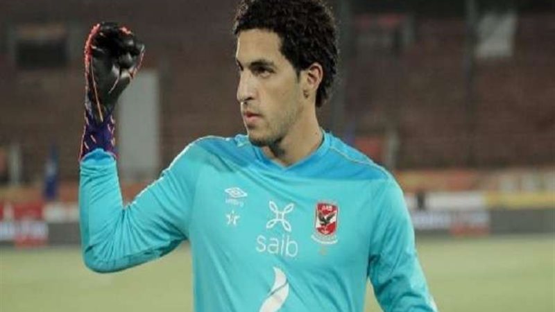 مصطفى شوبير