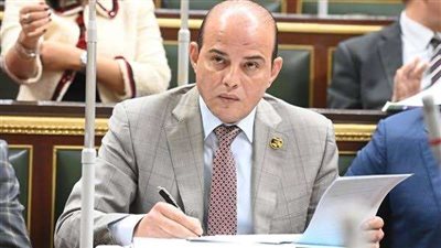 الحوار الوطنى همزة الوصل بين المواطن والسلطة التنفيذية.. القطامي يصرح
