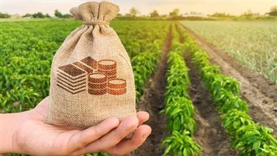 الزراعة: كمية الأسمدة المصنعة تأثرت نتيجة توقف إمدادات الغاز