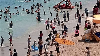الأرصاد تحذر من طقس شديد الحرارة.. وظهور نادر للثعبان الأحمر الأعمى في بورسعيد