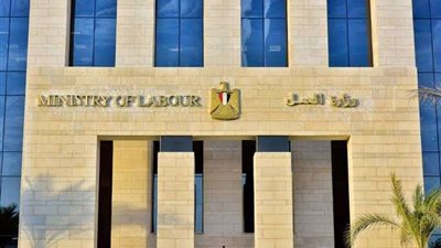 وزارة العمل تعلن توفير 300 فرصة عمل لفتيات القاهرة في مجال 