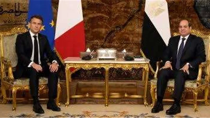 السيسى يؤكد محورية العلاقات المصرية الفرنسية