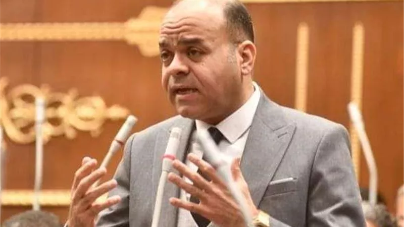 عمرو القماطي يثمن قرار ضم 73 ألف أسرة جديدة ل«تكافل وكرامة»