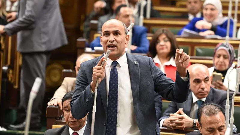 برلماني: الشعب المصري ينتظر تغييرا حقيقيا في سياسات الحكومة الجديدة