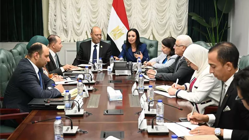 ملف العمالة غير المنتظمة على مائدة وزارتي التضامن والعمل.. اليوم