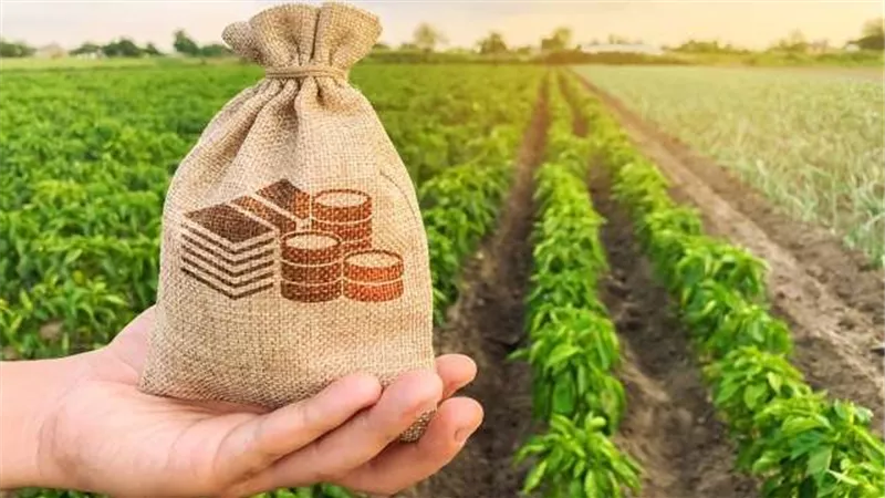 الزراعة: كمية الأسمدة المصنعة تأثرت نتيجة توقف إمدادات الغاز