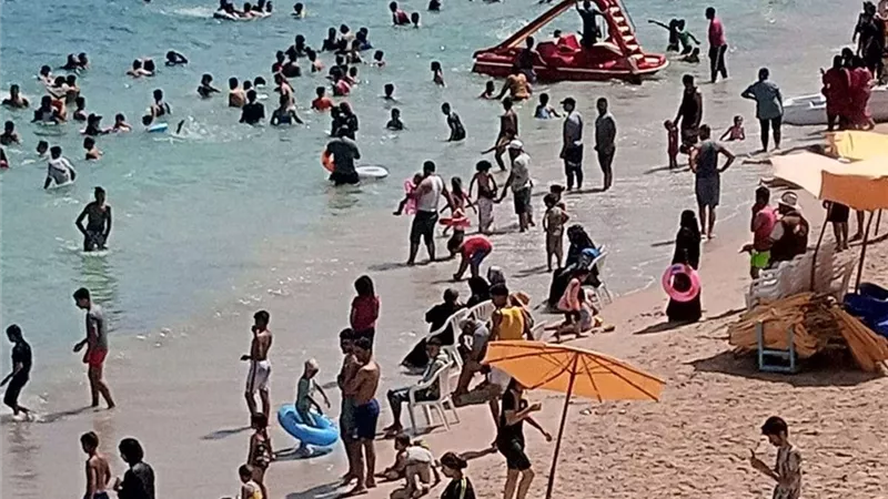 الأرصاد تحذر من طقس شديد الحرارة.. وظهور نادر للثعبان الأحمر الأعمى في بورسعيد