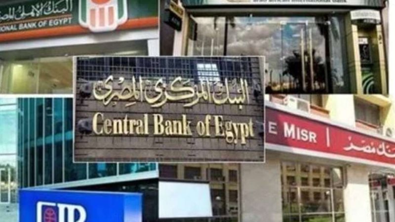 البنوك المصرية 