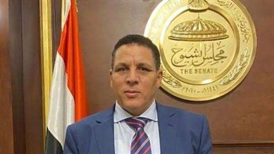 أحمد محسن: مصر حققت وفرة في الكهرباء لا يمكن إنكارها