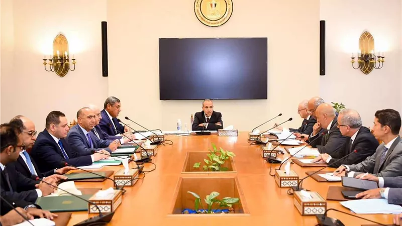وزير الخارجية يجتمع بقيادات وأعضاء الوزارة المعنيين بالموضوعات الإفريقية