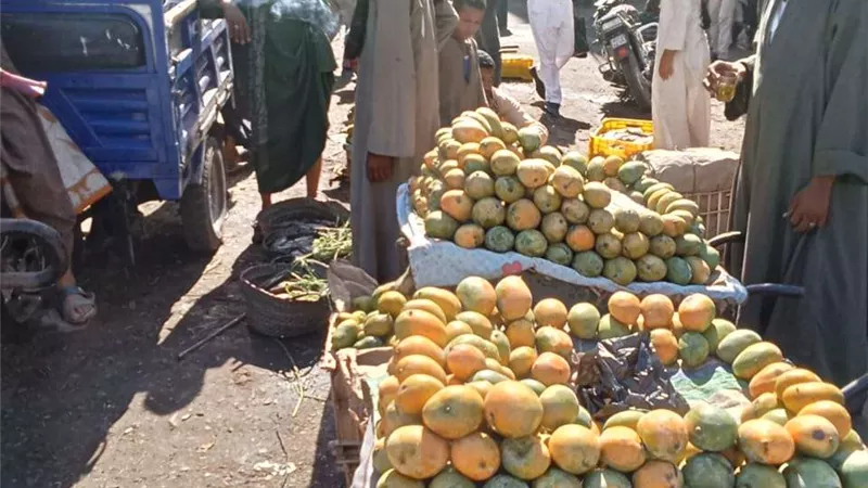 إزالة اشغالات وتعديات الباعة الجائلين على حرم الطرق بأسيوط