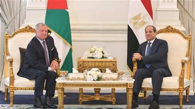 الرئيس السيسي: يجب الوقف الفوري لإطلاق النار بغزة لنزع فتيل التصعيد