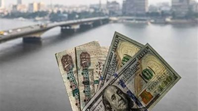 استقرار سعر الدولار أمام الجنيه المصري في نهاية تعاملات اليوم