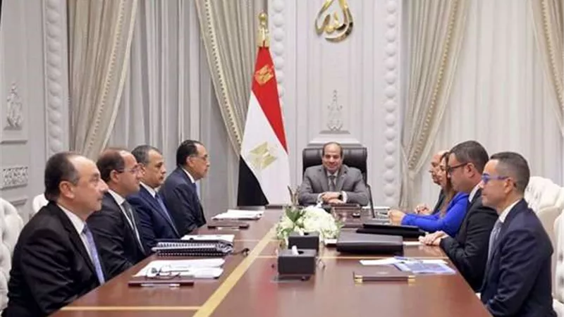 الرئيس السيسي يتابع جهود تنفيذ الاستراتيجية الوطنية للصناعة