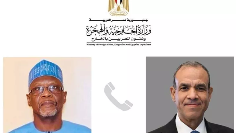 عبد العاطي يبحث مع وزير خارجية النيجر تعزيز التعاون الاقتصادي والتنموي