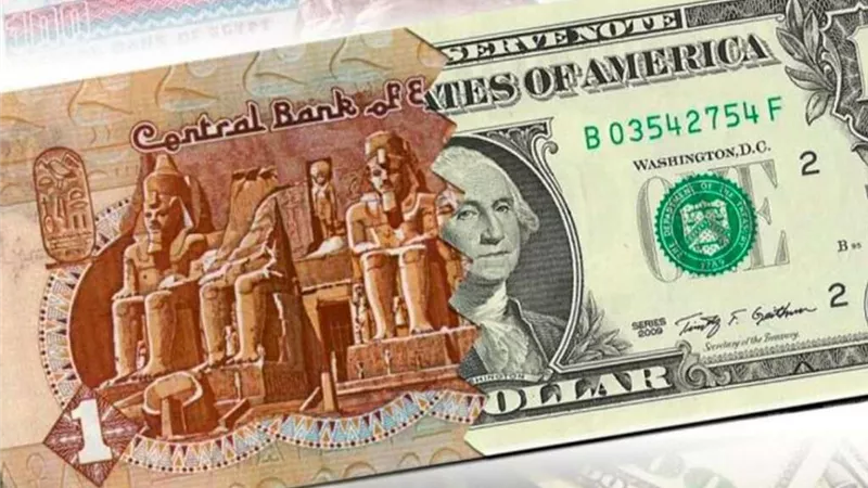 سعر الدولار في البنوك المصرية بمنتصف تعاملات اليوم الأحد 11 أغسطس 2024