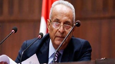 وكيل الشيوخ: السيسي زعيم وطني شجاع ارسي قواعد الديمقراطية والعدالة