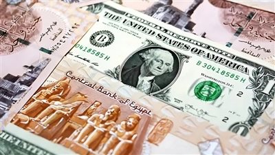 سعر الدولار الأمريكي مقابل الجنيه في بداية تعاملات اليوم الجمعة 23 أغسطس 2024