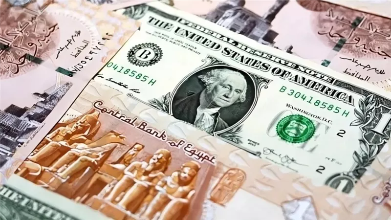 سعر الدولار الأمريكي مقابل الجنيه في بداية تعاملات اليوم الجمعة 23 أغسطس 2024