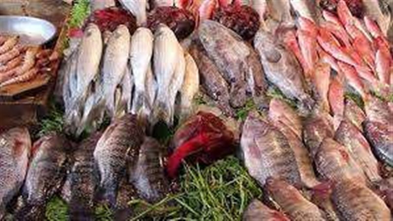 اسعار الاسماك