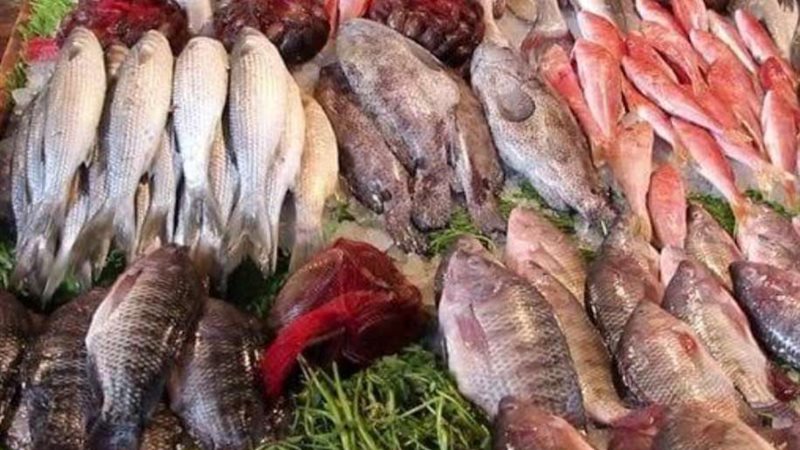 أسعار الأسماك