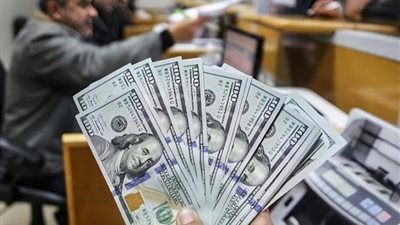 الأخضر بكام النهاردة.. أسعار الدولار اليوم السبت 31 أغسطس 2024 في مصر