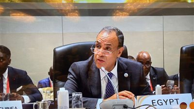 وزير الخارجية المصري يلتقي الجالية في أبوظبي ويعزز خدمات التواصل القنصلي