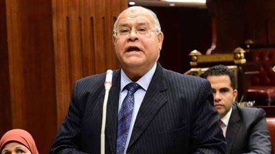 خاص| رئيس حزب الجيل يشدد  على أهمية الاستثمار الوطني لتحقيق توجيهات الرئيس السيسي للحكومة