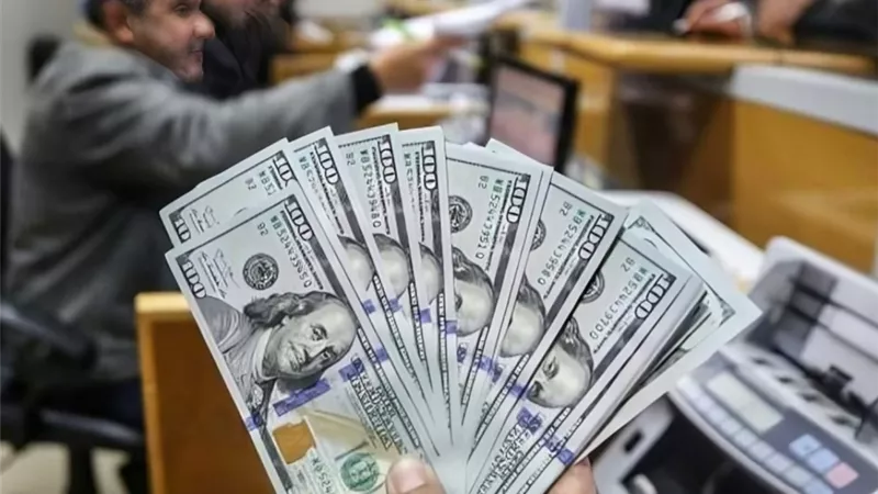 الأخضر بكام النهاردة.. أسعار الدولار اليوم السبت 31 أغسطس 2024 في مصر
