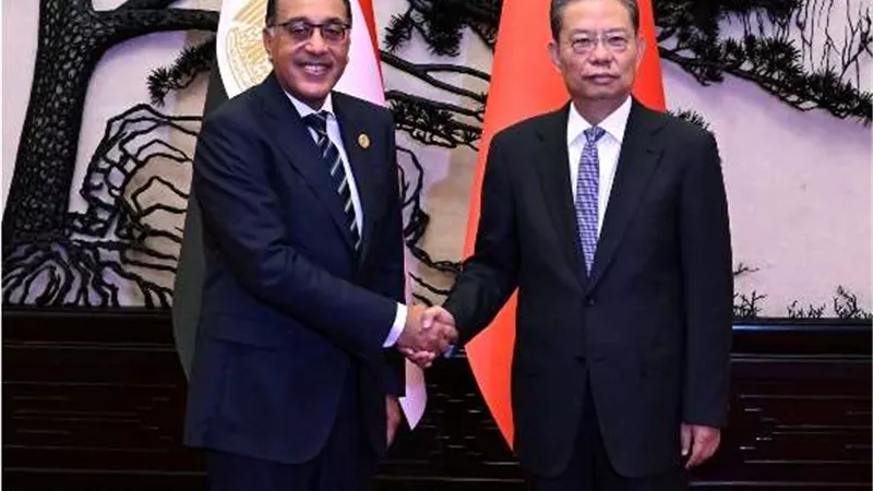 مصطفى مدبولي يلتقي رئيس اللجنة الدائمة للمجلس الوطني لنواب الشعب الصيني