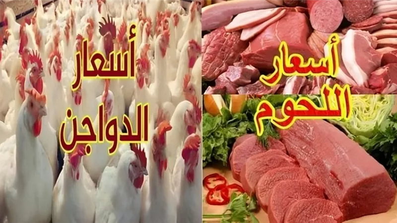 أسعار الدواجن واللحوم في مصر اليوم السبت 7 سبتمبر 2024