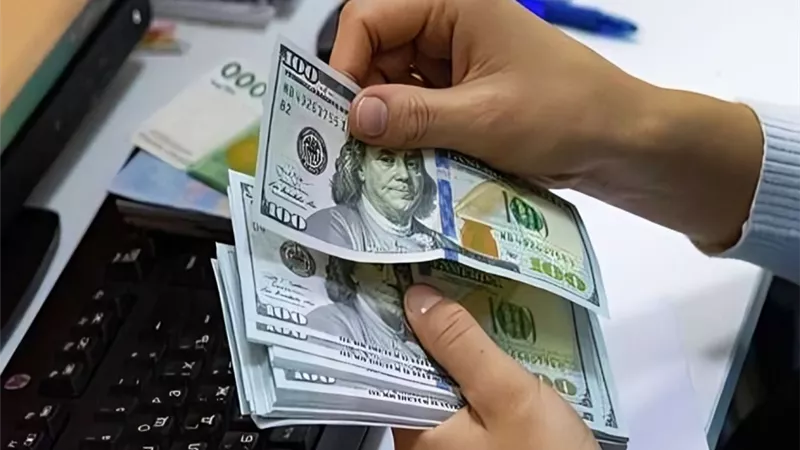 سعر صرف الدولار مقابل الجنيه المصري اليوم الإثنين 9-9-2024