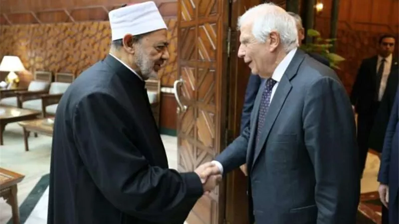 شيخ الأزهر للممثل الأعلى للاتحاد الأوروبي: هل هناك حل للمهزلة التاريخية التي نراها في غزة؟!