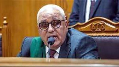 اليوم.. محاكمة متهم في قضية خلية اللجان النوعية بالمرج