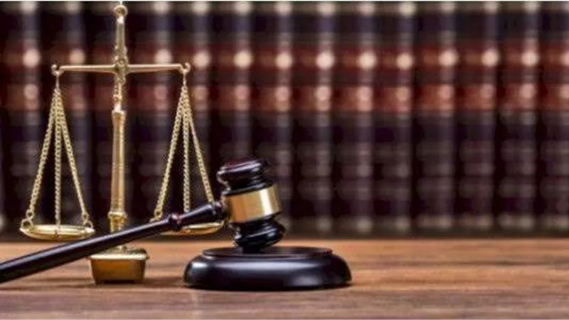 في يومه العالمي.. القانون ركيزة العدالة والتنظيم في المجتمعات عبر العصور