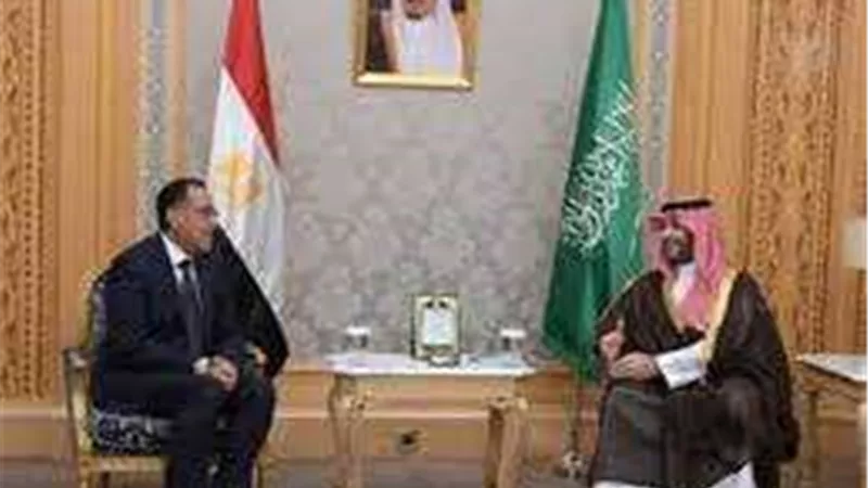في لقاء مدبولي.. بن سلمان يعلن استثمار 5 مليارات دولار في مصر