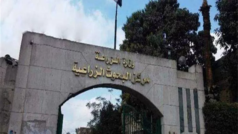البحوث الزراعية تطرح حلولا لمشكلات صناعة الأعلاف والزيوت