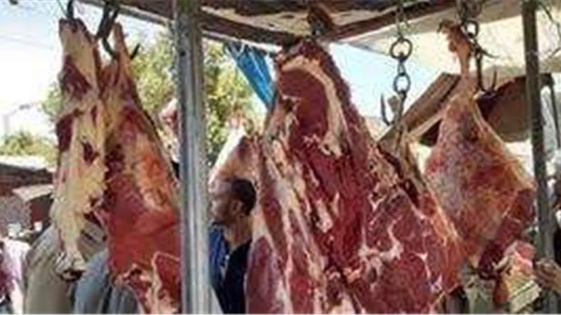 مبادرة حياة كريمة لتوفير اللحوم والدواجن بأسعار مخفضة تبدأ في أربع محافظات لتخفيف الأعباء عن المواطنينط