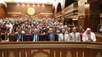 صحة الشيوخ: رسائل الرئيس السيسي تؤكد أن مصر تسير على المسار الصحيح