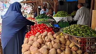 حمرا يا قوطه وبـ 30 جنيه.. أسعار الخضراوات اليوم الجمعة 3 أكتوبر 2024 في الأسواق المصرية