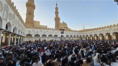 في ذكرى نصر أكتوبر..  إبراهيم الهدهد: التاريخ يشهد على عظمة الجيش المصري